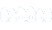 Orthodontist